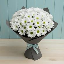 Букет цветов из:  Хризантемы в Краснокаменске Забайкальского края