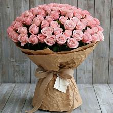 Букет 151 Роза Роуз #REPLACE_PRED# Краснокаменске Забайкальского края