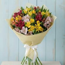 Букет цветов из:  Альстромерии #REPLACE_PRED# Краснокаменске Забайкальского края
