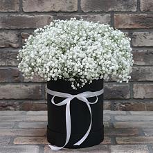 Цветочная композиция из Гипсофила в шляпной коробке в Краснокаменске Забайкальского края